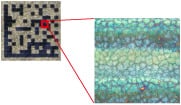 Black-annealed marking