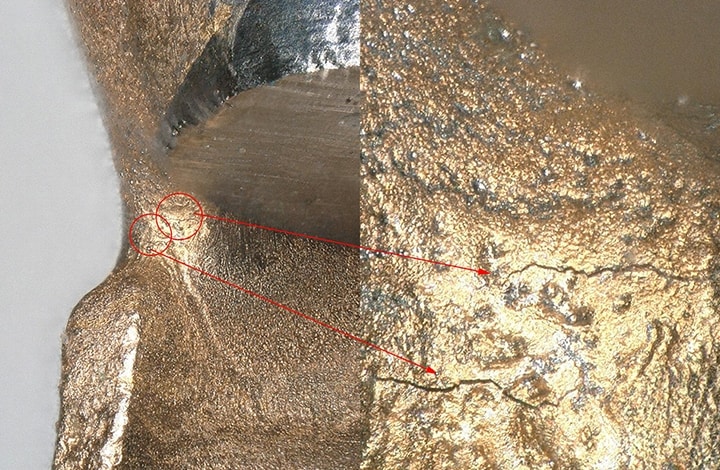 Left: standard magnification Right: high magnification