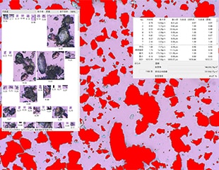 Quantifying Evaluation with Automatic Measurement and Analysis of Particle Shapes