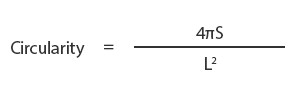 Circularity