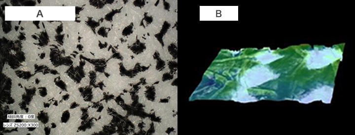 A. Analysis of faded sample (300x) B. 3D shape measurement of faded sample