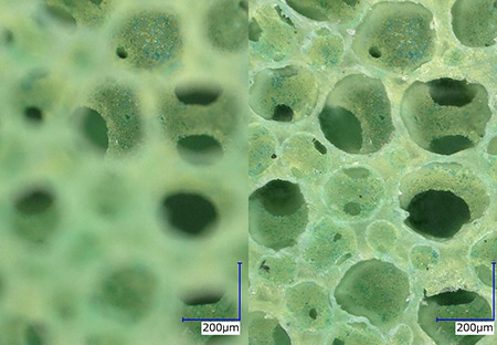 High-magnification observation Left: normal/right: depth composition (200x)