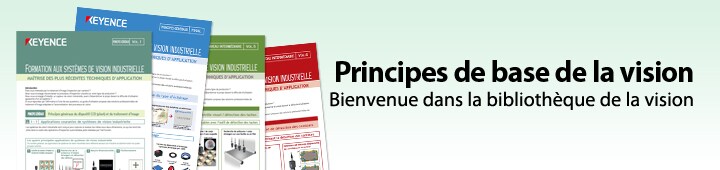 Principes de base de la vision