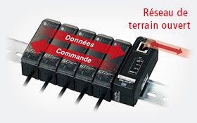 Réseau de terrain ouvert
