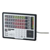 LS-D1000 - Display Panel